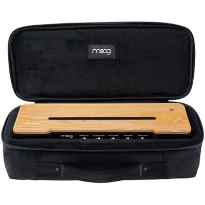 Moog Music Res Sr Ether Theremin Etherwave Sr Case image 2