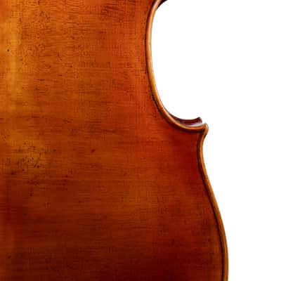 Master Montagnana Cello 4/4 – Hand-Made in Romania 2025 #71 image 8