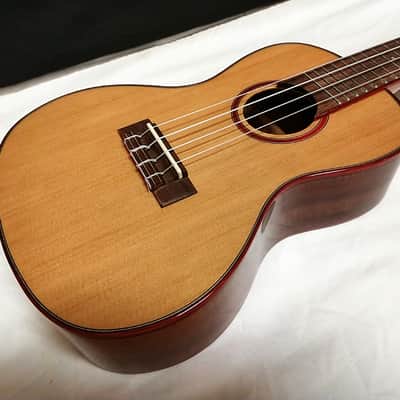 KALA Solid Cedar Top Acacia Concert UKULELE new UKE KA-ACP-CTG w/ Hard Case image 4