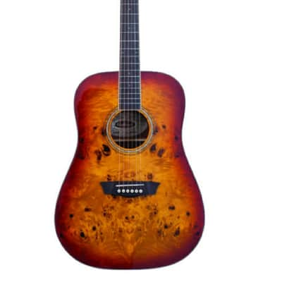 Washburn DFBDA Deep Forest Burl Dreadnought Acoustic Guitar. Amber Fade image 2
