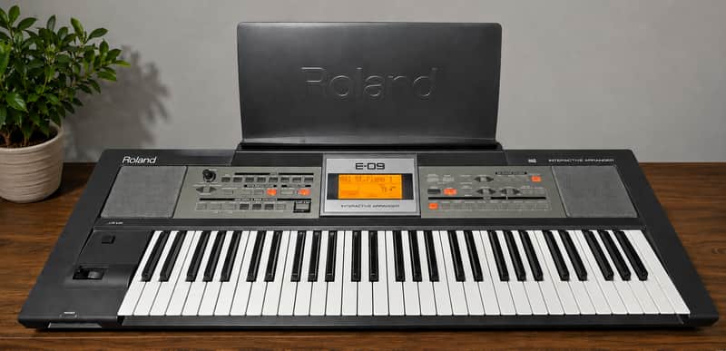 Roland E-09 61-Key Interactive Arranger 2005 - Present - Black image 1