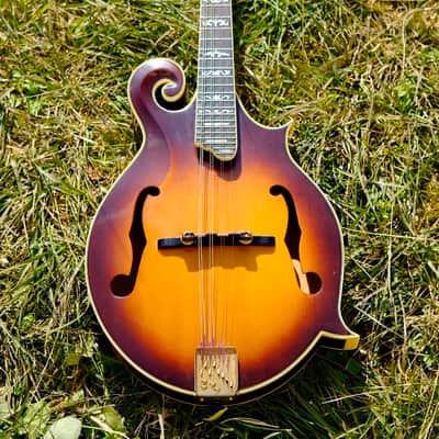 Alvarez F5 image 3