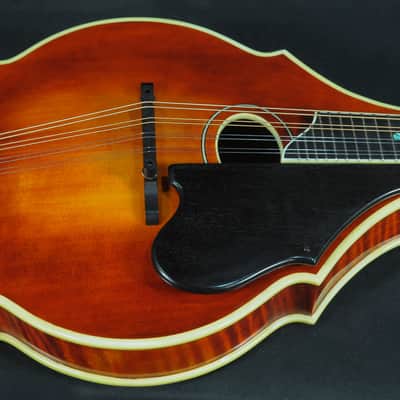 Eastman DGM2 David Grisman-Style Mandolin image 2
