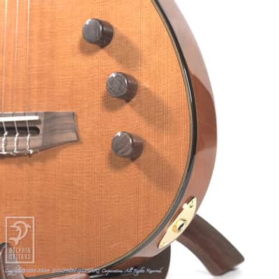 CORDOBA STAGE GUITAR (TRADITIONAL CD) image 12