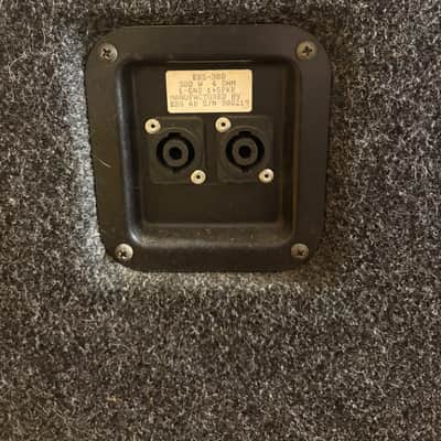 EBS Evolution 300 15" Bass Cab - Grey Ozite image 7