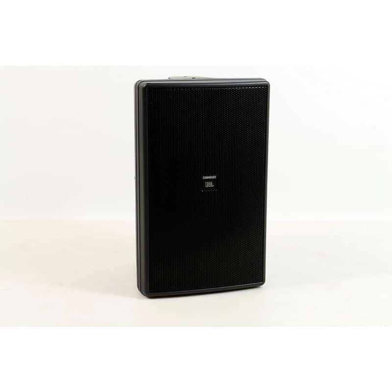 JBL Control 30 10" Three-Way Indoor/Outdoor Speaker Regular Black image 1
