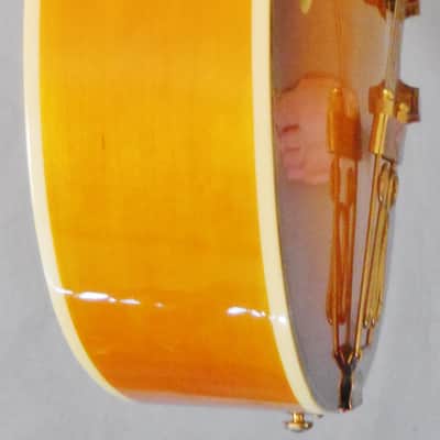 Samick 2001 HJS-650/TR Artist Series Archtop Electric Hollow Body Guitar in Sunburst w/Case image 6
