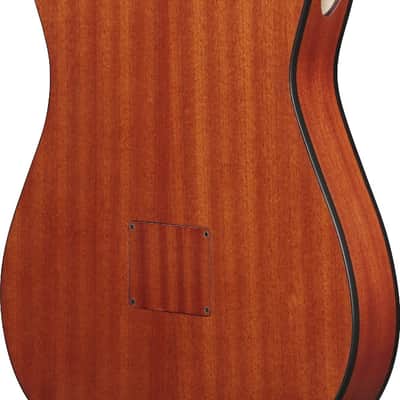 Ibanez FRH10NRGF Thinline Nylon Acoustic-Electric Guitar Rose Gold Metallic Flat image 5