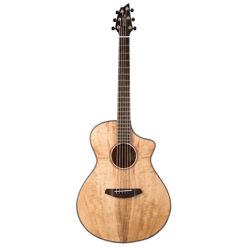 Breedlove Oregon Concert CE image 1