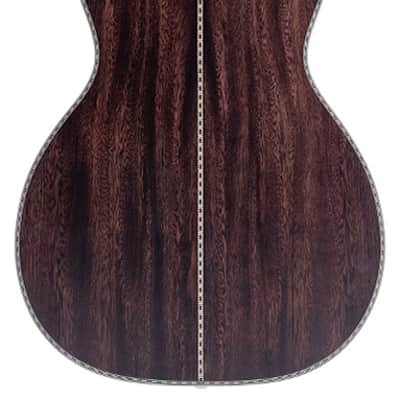 Washburn Parlor R-310 Victorian w/Gigbag image 2