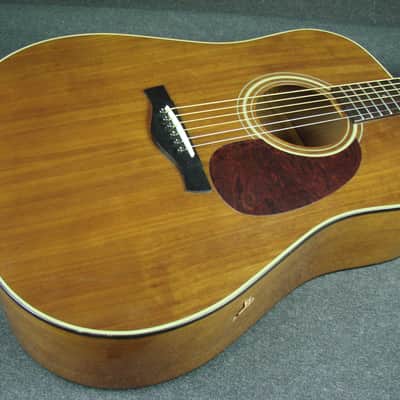 Alvarez 5020M Silver Anniversary Dreadnought Acoustic Guitar image 3