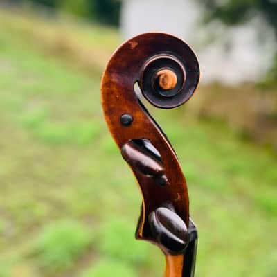 Immagine Giuseppe Petrazzini Cello 1890's Italian Labeled - 7