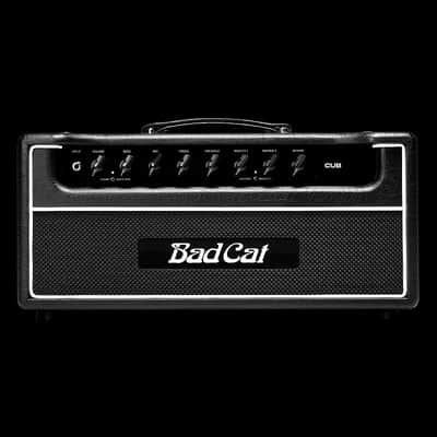 Bad Cat Cub 30 Watts Head image 1