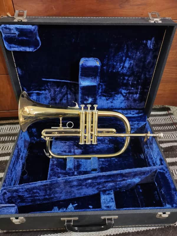 Blessing Artist Flugelhorn with Bach Mouthpiece and Dual Horn Case image 1