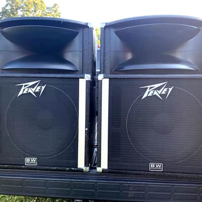 Peavey PEA-1210-TLS 1990s Black Carpet | Reverb
