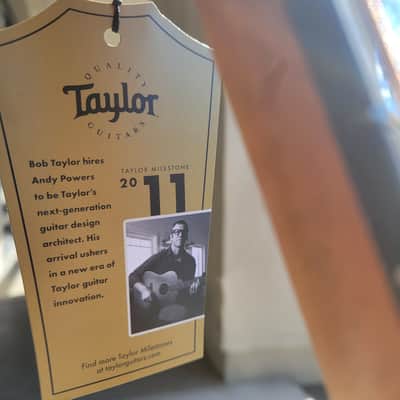 Taylor 50th Anniversary 217e-SB Plus LTD image 9