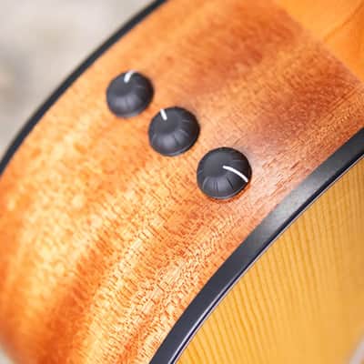 Taylor 114ce Grand Auditorium Acoustic-Electric Guitar with Structured Gig Bag image 10