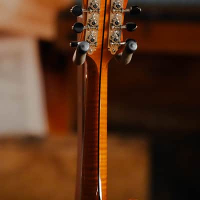 Gold Tone Grandmaster Mandolin Elite - Honey Amber Finish #5627 image 9
