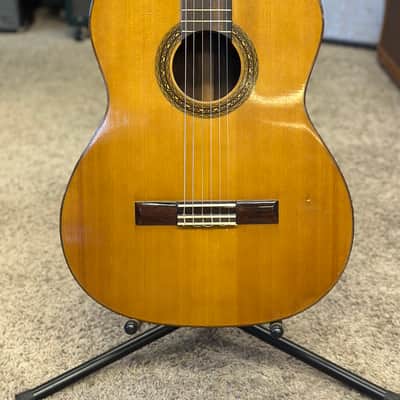 Aria A554 1960’s - Cedar image 3