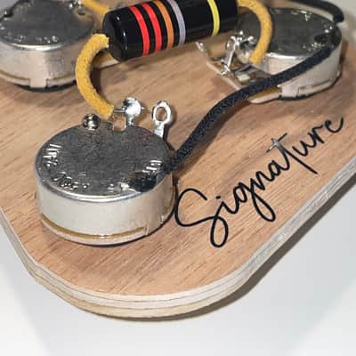 Gibson Les Paul Hand Wired Harness CTS & Centralabs Bumblebee PIO Caps - Vintage image 4