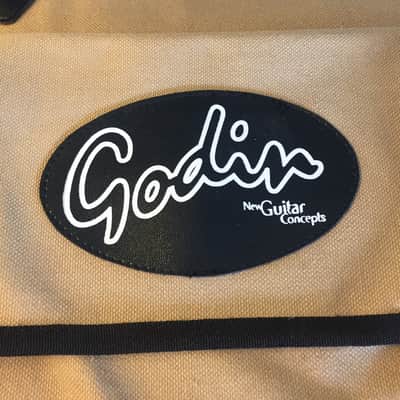 Godin Session (made in USA/Canada)  includes matching soft case image 15