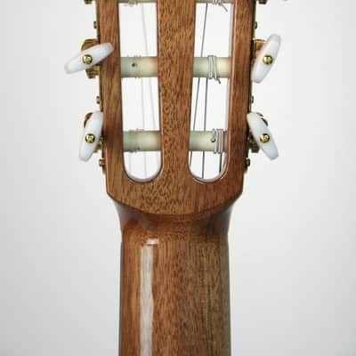 Cordoba C5 Cedar Top Nylon String image 5