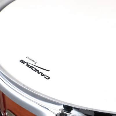 Canopus Session Superior 5.5x14 Snare Drum - Russet Brown Fade Lacquer image 3