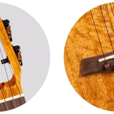 Flight Fireball EQ-A Tenor Ukulele New - solid mango body with dyed maple appointments image 7