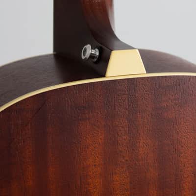 Iris  DF Flat Top Acoustic Guitar, ser. #268, black tolex hard shell case. image 16