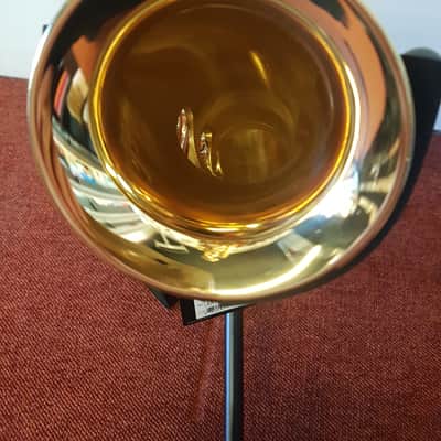 Artemis A1 Alto Sax Outfit - Gold Lacquer image 6