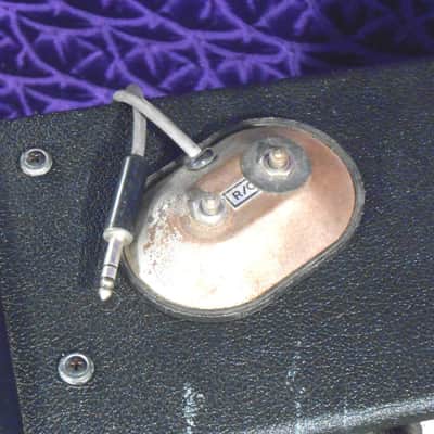 Standel Studio 24 Guitar Amp / VINTAGE 1967 "Twin" 2 x 12 S 24 G 200 watts! image 6
