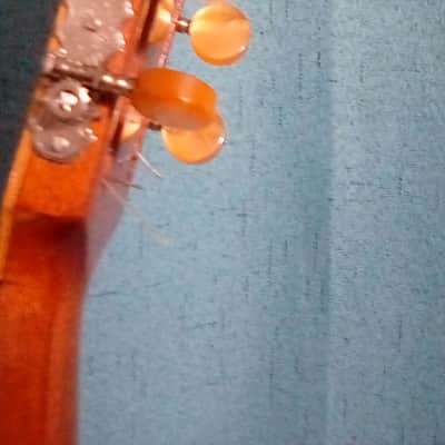 Beautiful Rare DiGiorgio Brazilian Classical Guitar Guarany C2 1979 image 10
