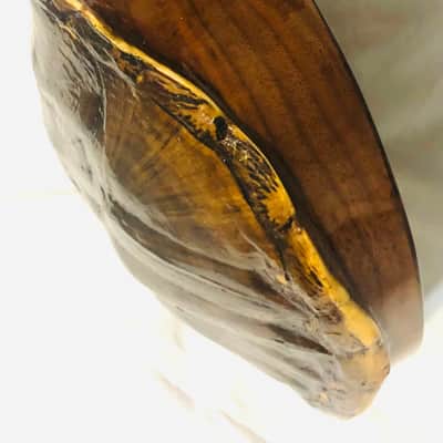 Turtle Shell Soprano Ukulele image 6