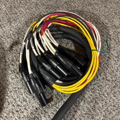 16 Channel Rack mount IEM Passive Split Snake Cable-6' and 30' XLR Trunks image 4