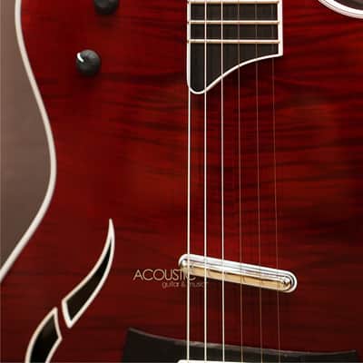 Taylor T5 Pro – Borrego Red 2013 image 9