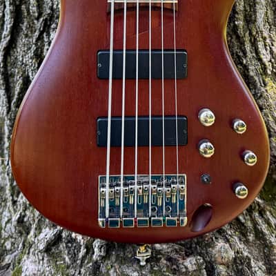 Ibanez SR506 Soundgear Bass image 5