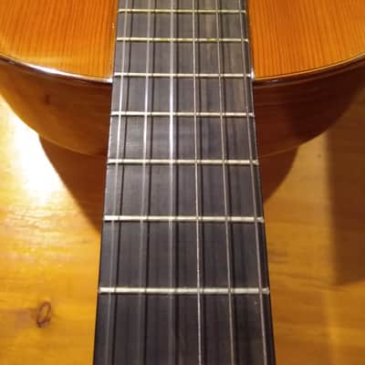 M.G. Contreras 1985 M-14 Spanish Classical Guitar (Guitarra Estudio) image 23