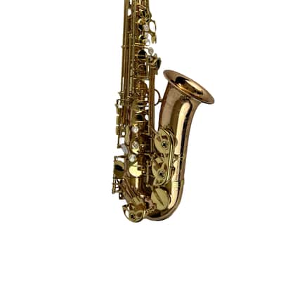 Yanagisawa AWO20UL Unlacquered Bronze Elite Alto Saxophone New In Box! image 17