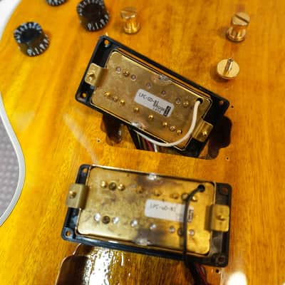 Bacchus BLC-MG KY Les Paul Custom – Mango Wood Top / Mango Body image 15