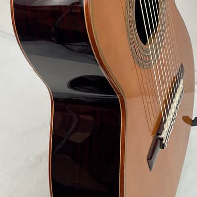 Montalvo 10 String Classical Guitar 2023 - Nitro Gloss image 6