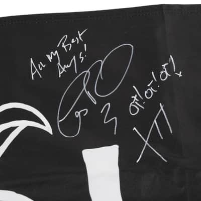 Stage Banner Owned by Lars Frederiksen Of Rancid imagen 4