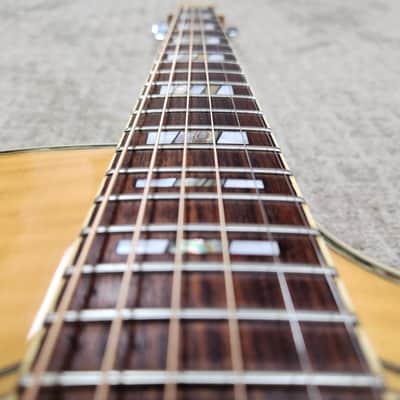 Mid 1990s Ibanez N800NT Slope-Shoulder Cutaway - Potential Prototype Unit w/ Hard Shell Case image 12
