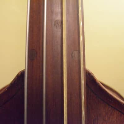 King Mortone  3/4 Upright Bass 1954 image 11
