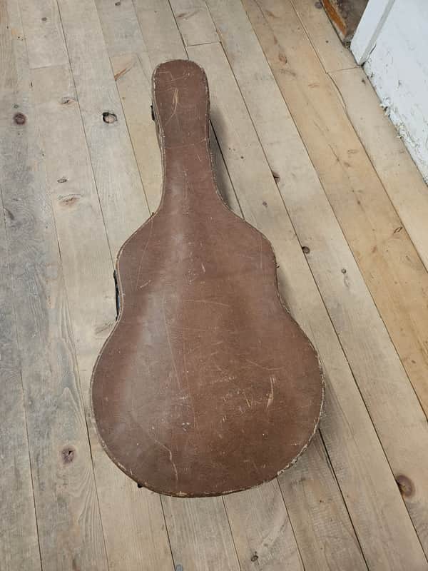 Vega Archtop Case - Will fit Gibson, Martin etc Brown/Purple image 1