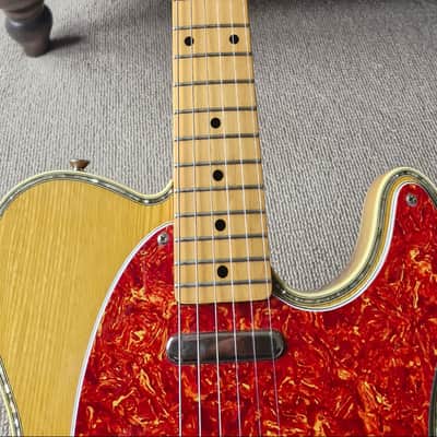 Tokai Breezysound TE80A image 5