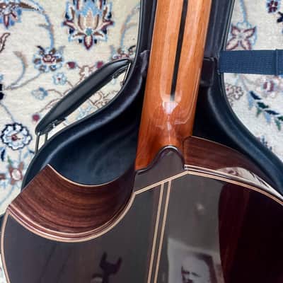 Juan Montes Rodríguez Flamenco 1ª Negra Exclusive Cutaway + LR Baggs Installed 2025 image 14