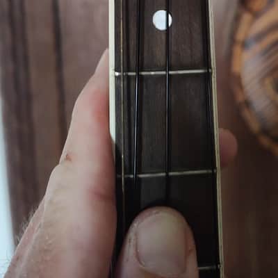 1920s-30s May Bell Tenor Guitar w/ Case image 11