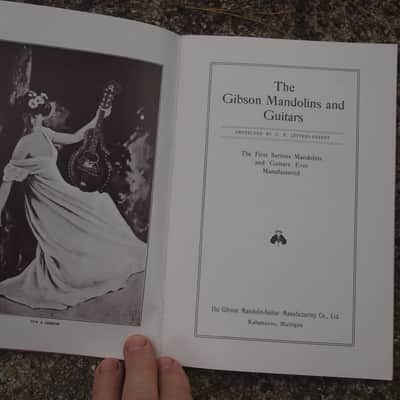 Gibson Mandolin-Guitar Co. 1905 catalog reprint image 3