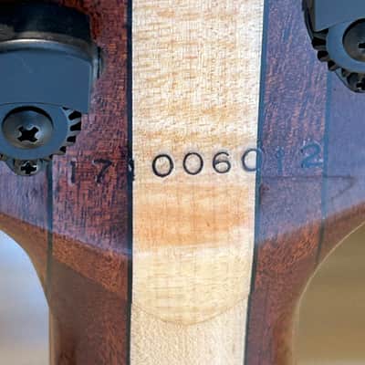 Eshenbaugh J5 Custom 2000's - Maple Burl Gloss image 11