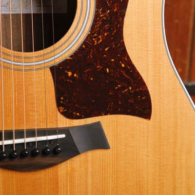 Taylor 210ce Dreadnought Acoustic-Electric Guitar image 6